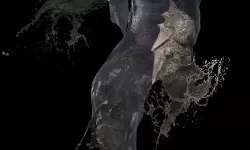 《怪物猎人崛起》泥鱼龙大小金攻略