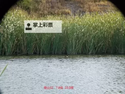 2047怎么双开 2047双开挂机软件推荐图2