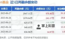 2047怎么双开  2047双开挂机软件推荐